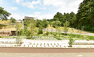 松島樹木葬 ガーデンエリア