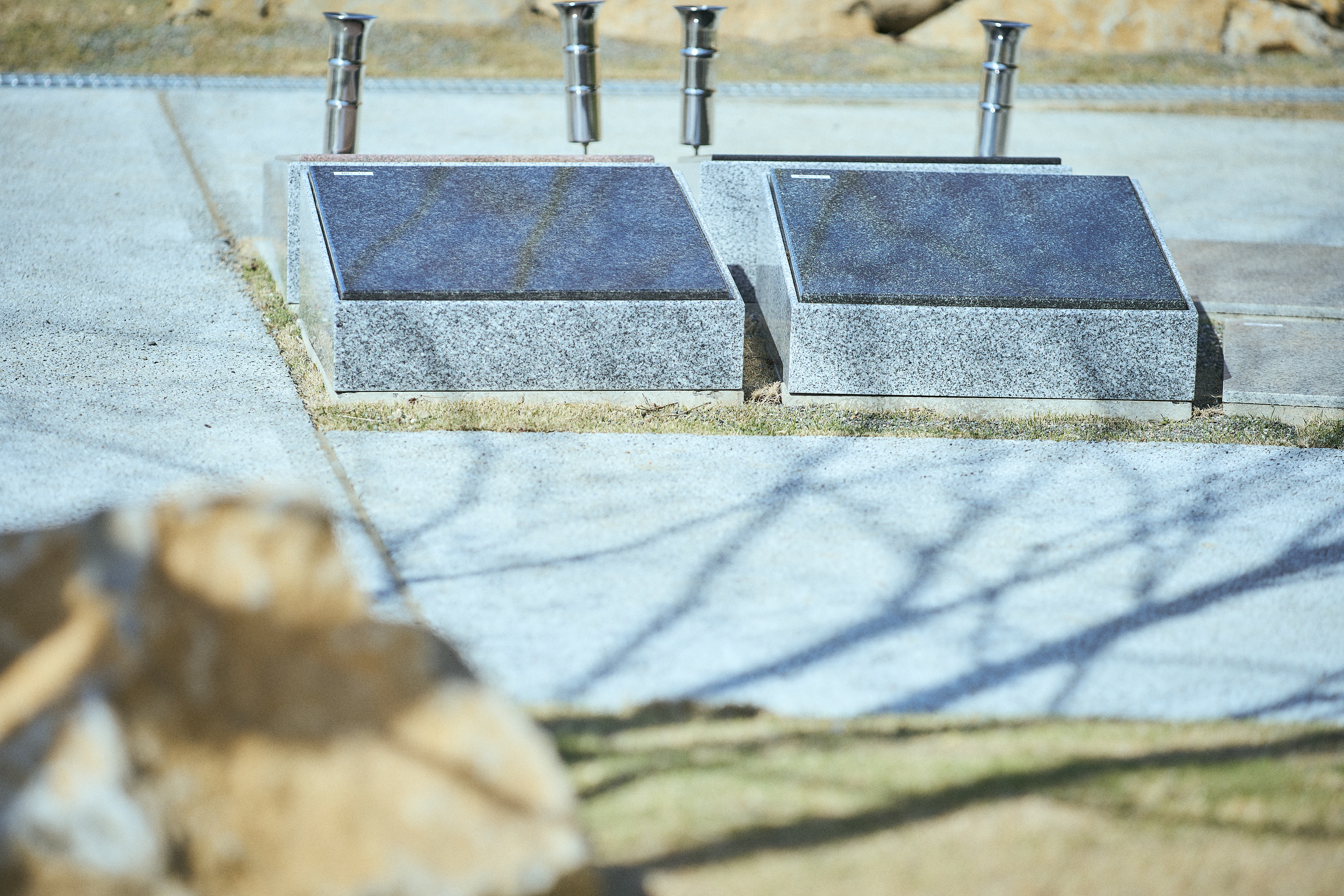 樹木葬のプレート