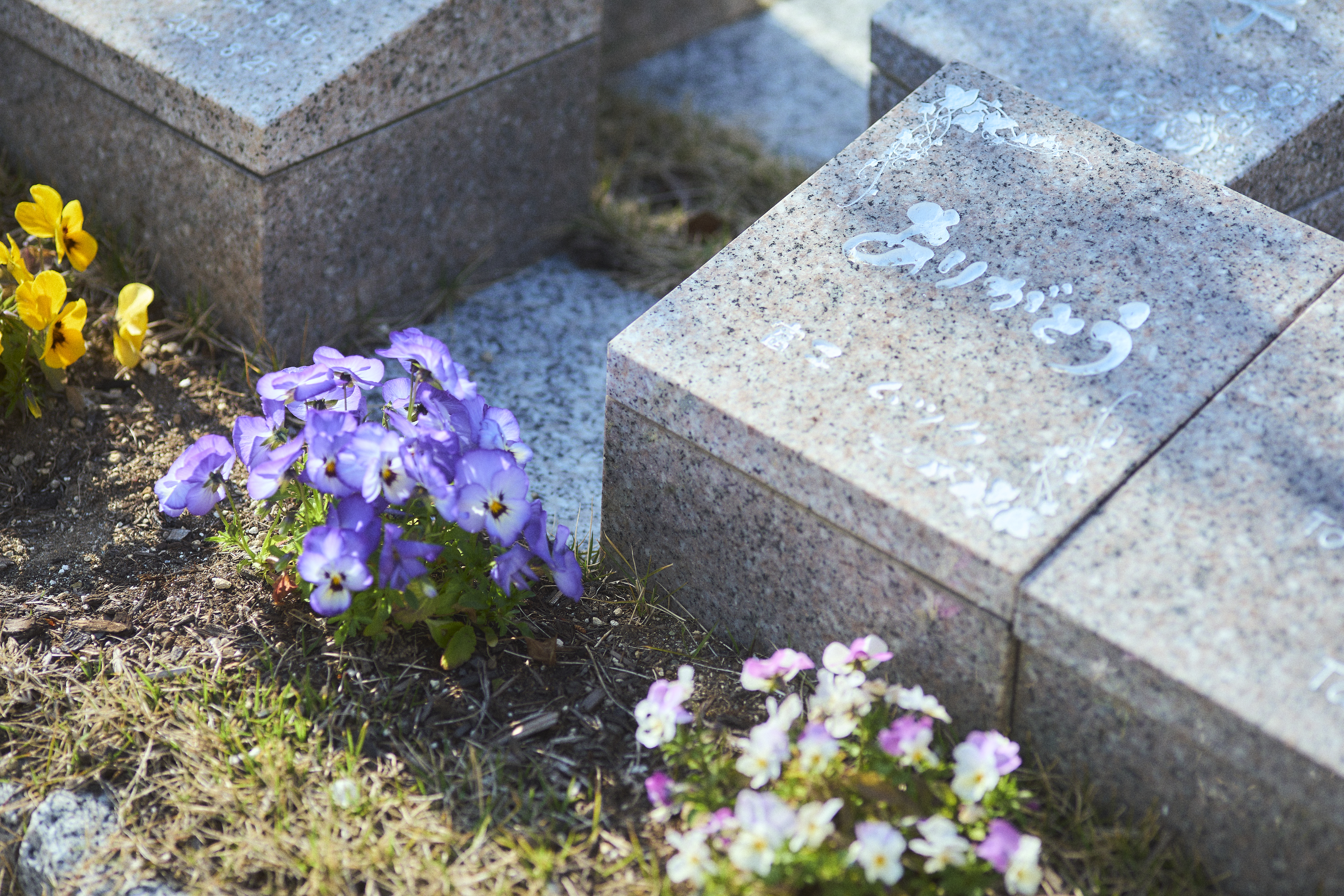 樹木葬のプレート