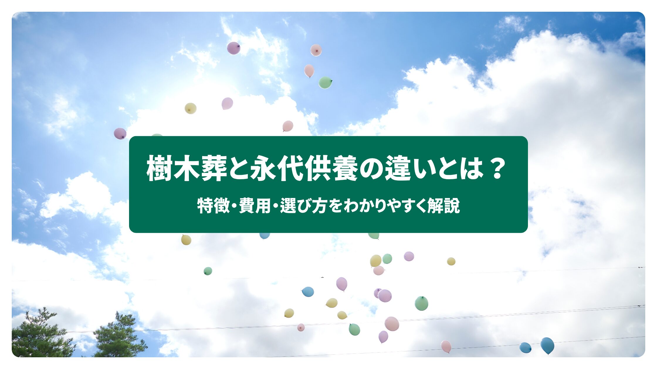 樹木葬と永代供養の違いとは？特徴・費用・選び方をわかりやすく解説