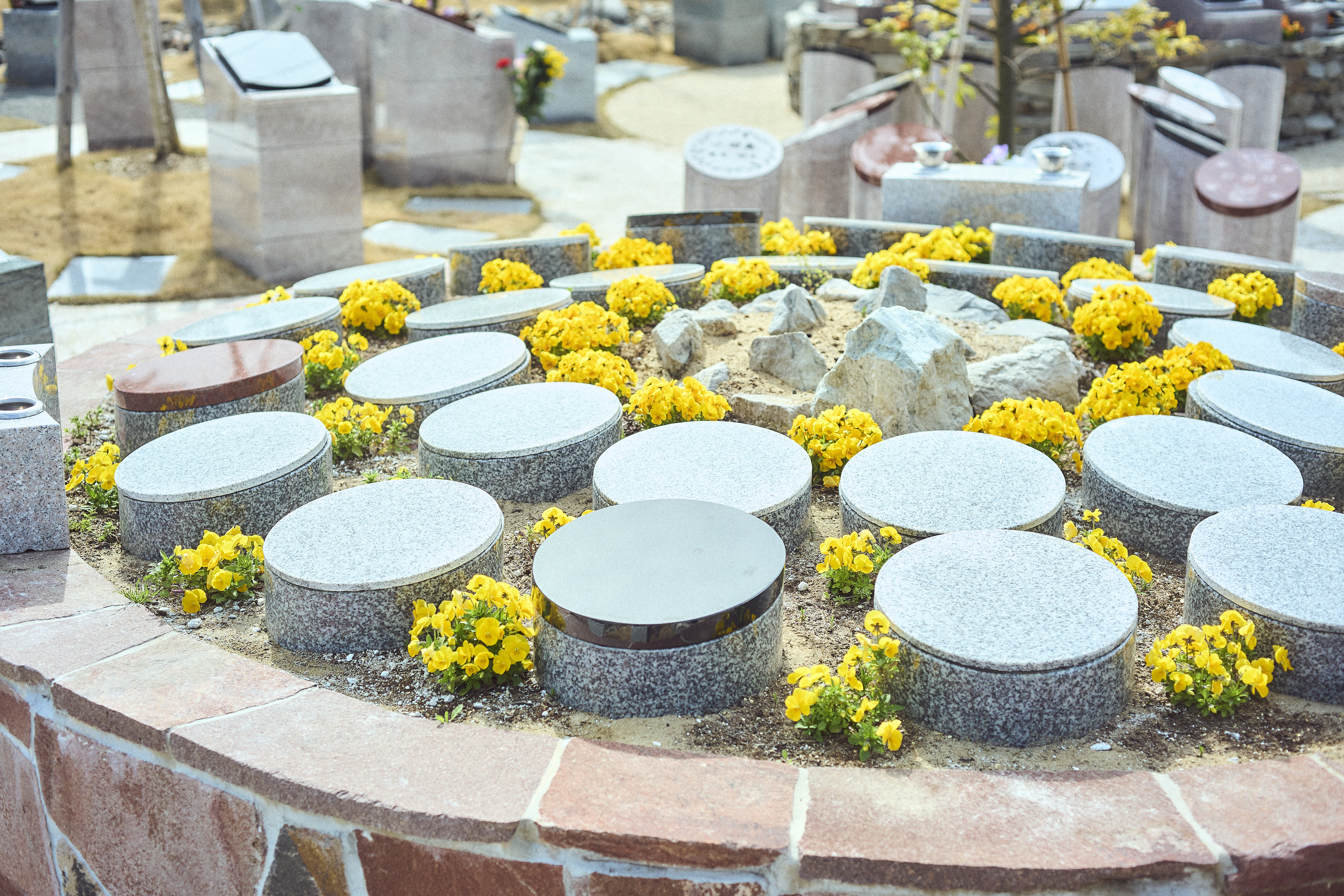 宮城県のお墓のお引越し先である樹木葬