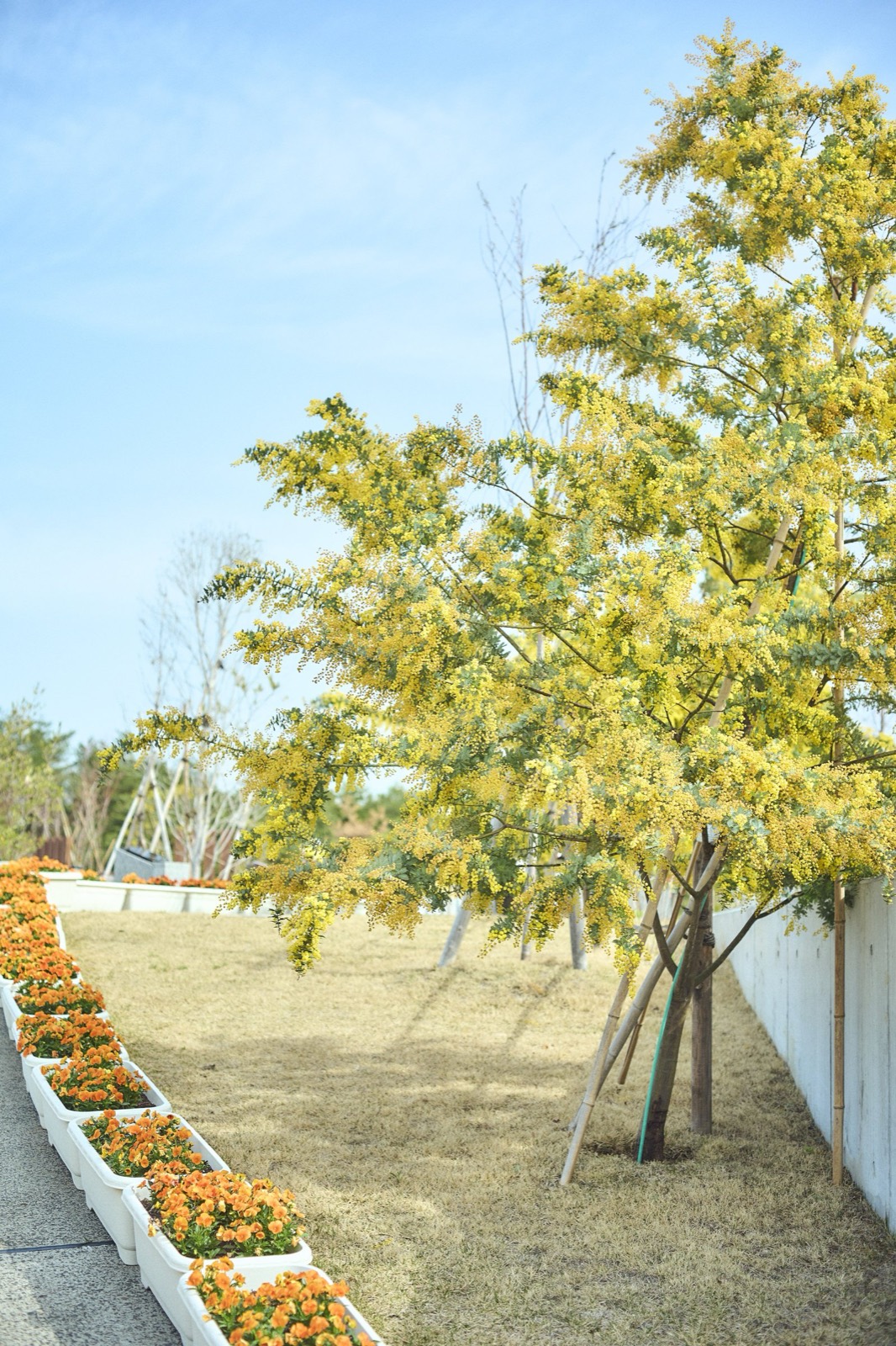 仙台葛岡樹木葬フォレストガーデンの季節の花木