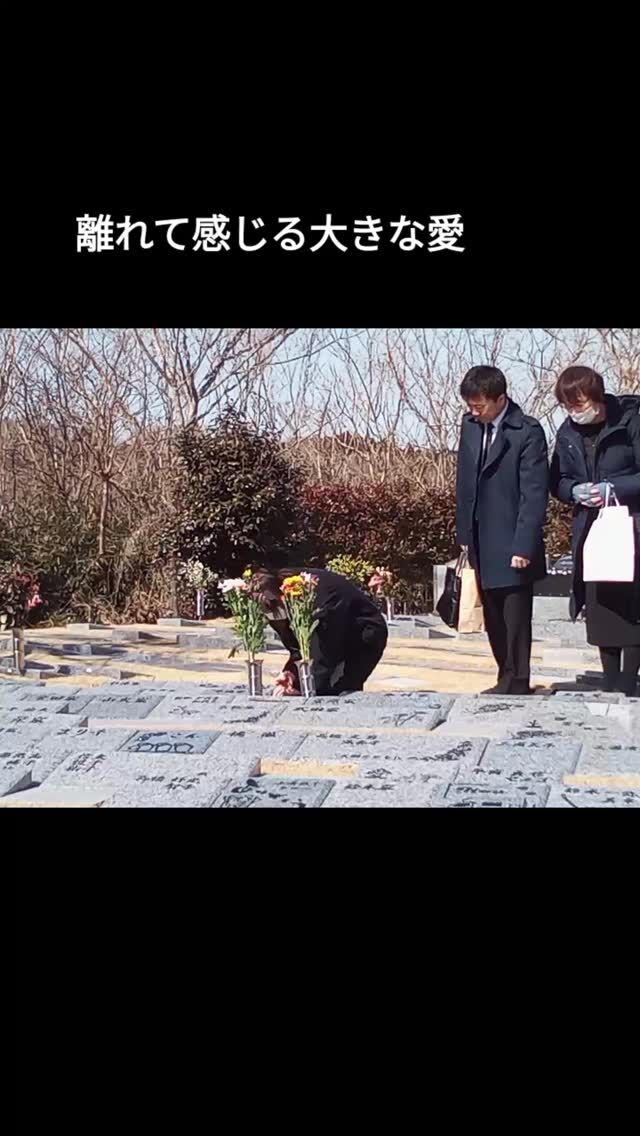 こんにちは🌿  松島樹木葬での納骨式  故人様とのしばしのお別れ
大切なお時間  松島樹木葬ではお一人お一人に丁寧にお手伝いをさせていただきます✨  #松島樹木葬 
#大切な人 
#しばしのお別れ 
#家族
#日本三景松島