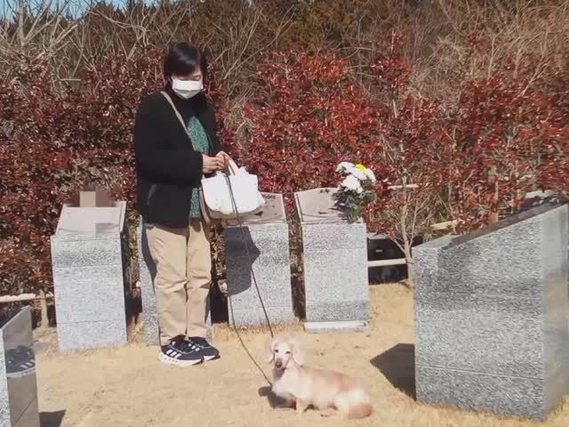 こんにちは🌿松島樹木葬です  先日の素敵なシーン😊  わんちゃんとのお参り  心が温かくなりました✨  ※撮影は許可をいただいております。  #松島樹木葬 
#素敵な時間 
#大切な人 
#思いをはせる 
#日本三景松島