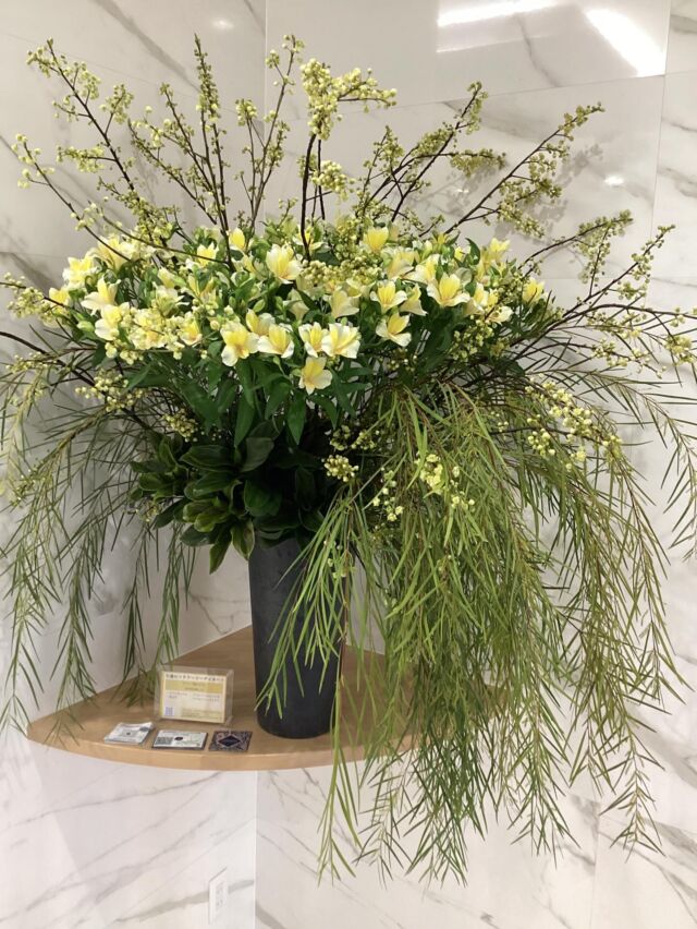 itsutsubashi.memoire こんにちは。
＃室内納骨堂メモワール仙台五橋です。
今週の＃定期装花テーマは『陽だまり』
〜春の訪れは優しい光〜
ラナンキュラス、青文字、アカシアフロリバンダ、ドラセナコンパクターを用いてお洒落で素敵なお花を生けて頂きました。
祭壇のお花はファンファーレです。
いつも素敵な装花ありがとうございます。
皆様のご来店心よりお待ちしております。
【室内納骨堂メモワール仙台五橋】
TEL▶ 022-290-1357
資料請求も承っております。
仙台市青葉区北目町7-11
@memoire_sekizai
＃メモワール石材株式会社