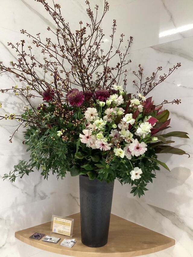 こんにちは。
＃室内納骨堂メモワール仙台五橋です。
今週の＃定期装花テーマは「春化粧」
～新しい紅を差す季節〜
テーブルウッドドック、ディスコクラブ、赤ドラセナ、ラックスアリアドネ、アセビ、ドラセナコンパクターを用いてお洒落で素敵なお花を生けて頂きました。
祭壇のお花はダイアンサです。
いつも素敵な装花ありがとうございます。
皆様のご来店心よりお待ちしております。
【室内納骨堂メモワール仙台五橋】
TEL▶ 022-290-1357
資料請求も承っております。
仙台市青葉区北目町7-11
@memoire_sekizai
＃メモワール石材株式会社