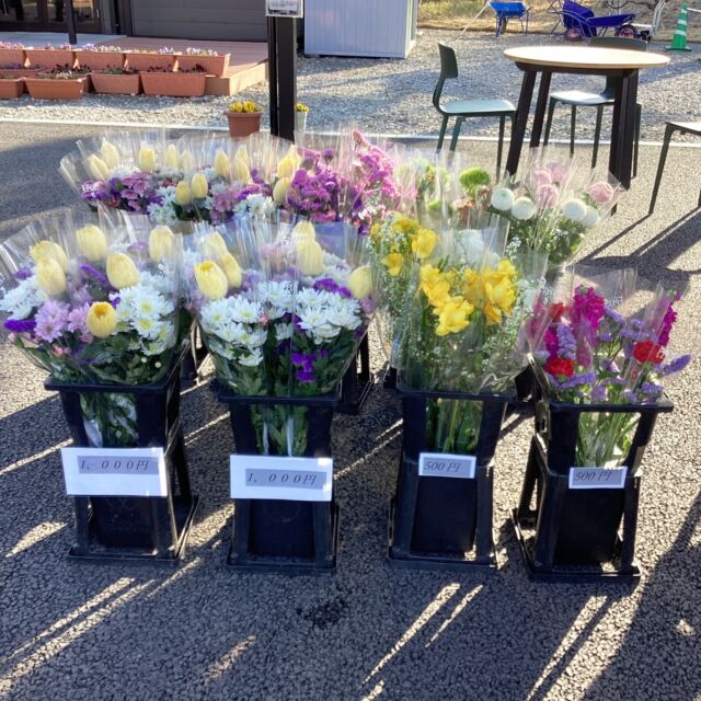 🌿【お彼岸のお花をご用意しております】🌿  いつもお参りにお越しいただいている皆さまへ。  フォレストガーデンでは、
お彼岸にあわせてお花の販売を行っております。  たくさんの方にご利用いただき、
ありがとうございます。  ご用意しているお花には限りがございますので、
ご来苑の際はお早めにご利用ください。  お参りの際に、
ぜひお手に取っていただければと思います🌿  #フォレストガーデン
#仙台樹木葬
#お彼岸
#お彼岸の花
#供花