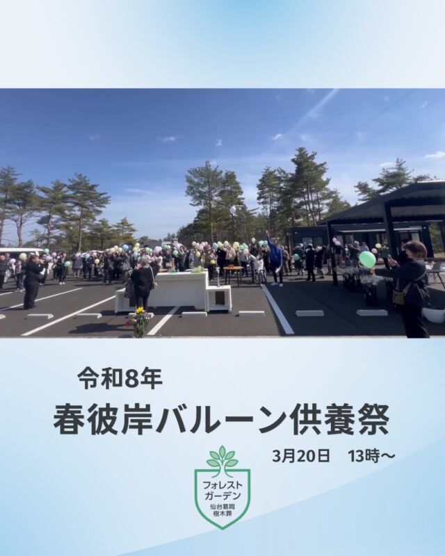 春彼岸バルーン供養祭に
ご参加いただき、ありがとうございました。  多くの皆さまにご焼香いただき、
大切な想いを手向ける時間となりました。  バルーンには、それぞれの想いをのせて。
空へと広がっていく光景は、
とてもあたたかい時間でした。  また、当日開催いたしました
葬儀説明会にもご参加いただき、
ありがとうございました。  ⸻  【次回供養祭のご案内】  5月17日（日）14時〜
手紙供養祭を開催いたします。  当日も供養祭前に、
ご葬儀合同説明会を開催予定です。  大切な人へ綴った想いを、
手紙にのせて届ける時間です。  ぜひご参加ください。  #フォレストガーデン
#仙台樹木葬
#供養祭
#終活
#大切な人へ