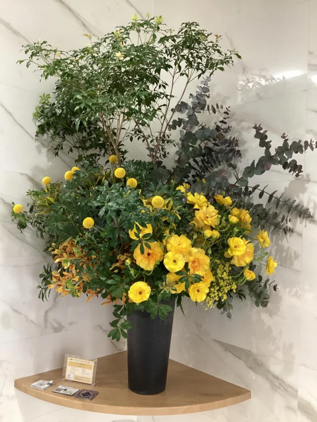 こんにちは。
#室内納骨堂メモワール仙台五橋です。  今週の#定期装花 テーマは『春の陽気』
〜ぽかぽかな一日を〜
ラックス、クラスペディア、ユーカリ、ソリダコ、モカラ、アセビ、スモークグラスを用いてお洒落で素敵なお花を生けて頂きました。
祭壇のお花はカルテットアプリコットです。  いつも素敵な装花ありがとうございます。
皆様のご来店心よりお待ちしております。  【室内納骨堂メモワール仙台五橋】
TEL▶ 022-290-1357
資料請求も承っております。
仙台市青葉区北目町7-11
@memoire_sekizai
#メモワール石材株式会社