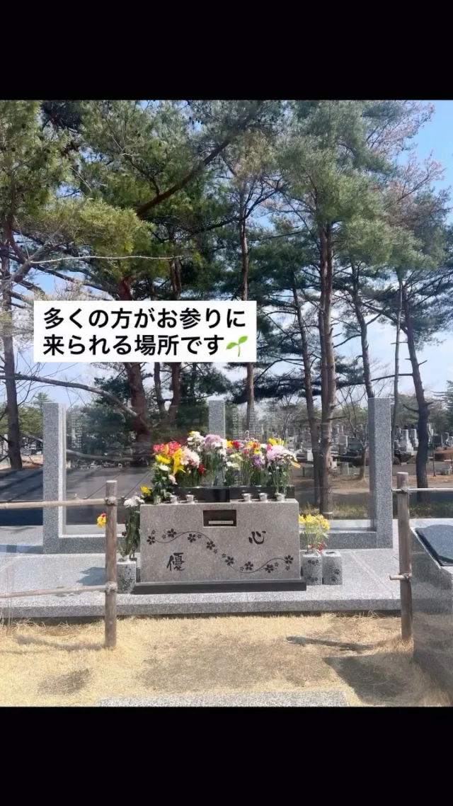 フォレストガーデンの日々の様子🌿  苑内の坂を登った先には、
永代供養墓があります。  多くの方がお参りに来られる、
大切な場所です  #フォレストガーデン
#仙台樹木葬
#永代供養墓
#お参り
#心が落ち着く場所