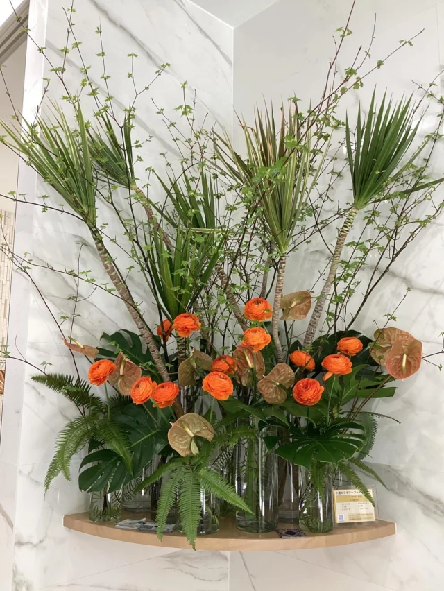 こんにちは。
#室内納骨堂メモワール仙台五橋　です。  今週の#定期装花 テーマは『芽吹き・陽光』
～春の力強い生命力～
コンシンネ、イブキ、モンステラ、ラナンキュラス、山シダ、アンスリウムを
用いてお洒落で素敵なお花を生けて頂きました。  祭壇のお花はアイスクリームです。  いつも素敵な装花ありがとうございます。
皆様のご来苑心よりお待ちしております。  【室内納骨堂メモワール仙台五橋】
TEL▶ 022-290-1357
資料請求も承っております。
仙台市青葉区北目町7-11
@memoire_sekizai 
#メモワール石材株式会社
