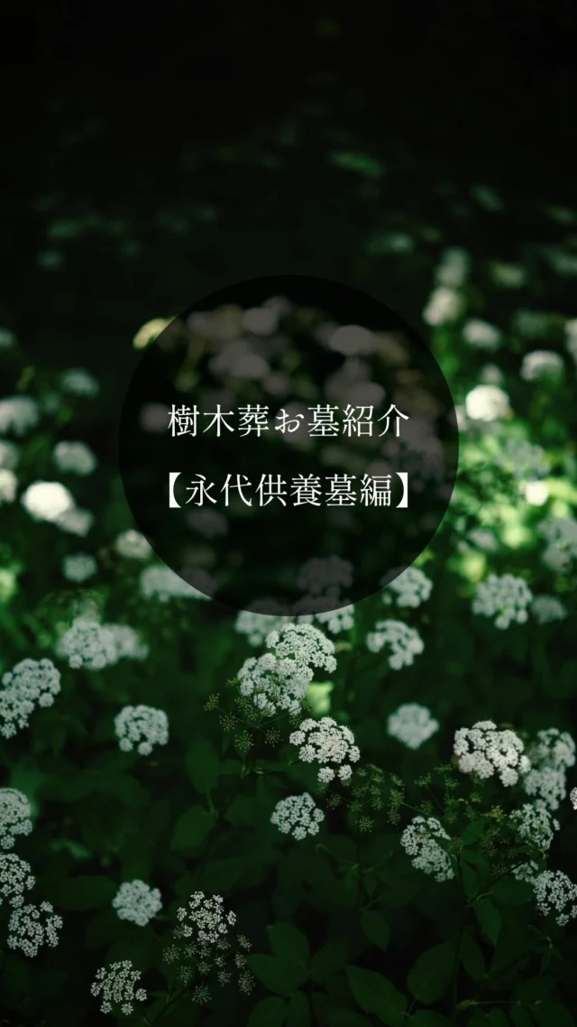 永代供養墓へ続く、やさしい道のり。  坂を上ると、季節の花や木々に迎えられ、その先には多くの想いが集まる場所があります。  安心して手を合わせられる、フォレストガーデンの永代供養墓です。  #フォレストガーデン #仙台樹木葬 #永代供養墓 #樹木葬 #明るい供養