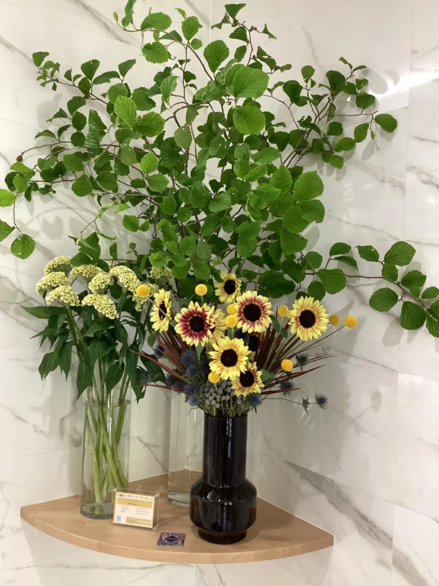 こんにちは。
#室内納骨堂メモワール仙台五橋　です。
今週の#定期装花　テーマは『マスキュリン』
～落ち着いた都会のサロン～
ヒマワリ、バーゼリア、万作、クラスペディア、ボンベイケイトウ、
エリンジュームを用いてお洒落で素敵なお花を生けて頂きました。
祭壇のお花は孔雀草(八重咲き)です。
いつも素敵な装花ありがとうございます。
皆様のご来苑心よりお待ちしております。
【室内納骨堂メモワール仙台五橋】
TEL▶ 022-290-1357
資料請求も承っております。
仙台市青葉区北目町7-11  @memoire_sekizai
#メモワール石材株式会社
