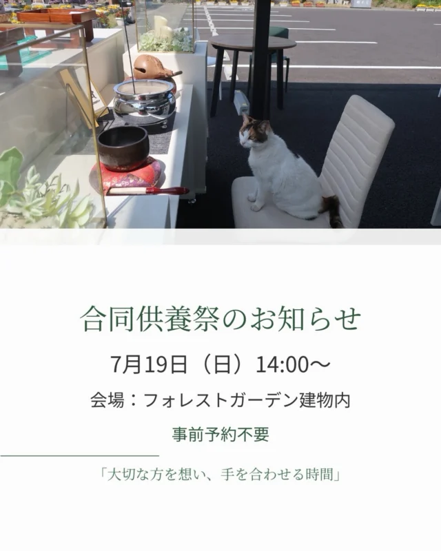 🌿【合同供養祭のお知らせ】🌿  7月19日（日）14時より、
フォレストガーデンにて合同供養祭を執り行います。  今回は、フォレストガーデン建物内で開催いたします。  大切な方を想い、皆さまと一緒に手を合わせる時間です。
どなたでもご参加いただけますので、ぜひお越しください🕊️  📅 日時：7月19日（日）14時〜
📍 場所：フォレストガーデン建物内
📝 事前予約：不要  少し投稿の間が空いてしまいましたが、
これからまた、フォレストガーデンの日々の様子や取り組みを発信してまいります🌿  皆さまのお越しを、心よりお待ちしております。  ――――――――――  🌿 資料請求・ご見学のご案内  フォレストガーデンでは、
資料請求・現地見学を承っております。  詳しくは、ホームページまたはお電話よりお問い合わせください。  🔗 メモワール石材株式会社
https://memoire-rifu.com/  ☎ 0120-23-4114  #フォレストガーデン
#仙台樹木葬
#合同供養祭
#明るい供養
#大切な人を想う時間