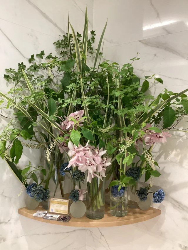 こんにちは。
#室内納骨堂メモワール仙台五橋　です。  今週の #定期装花　テーマ は『雨音』
～気持ちが涼しくなる水の音～
ヤマゴボウ、ニューサイラン、シンビジューム、アジサイ
を用いてお洒落で素敵なお花を生けて頂きました。  祭壇のお花はルリタマアザミです。  いつも素敵な装花ありがとうございます。
皆様のご来苑心よりお待ちしております。  【室内納骨堂メモワール仙台五橋】
TEL▶ 022-290-1357
資料請求も承っております。
仙台市青葉区北目町7-11  @memoire_sekizai
#メモワール石材株式会社