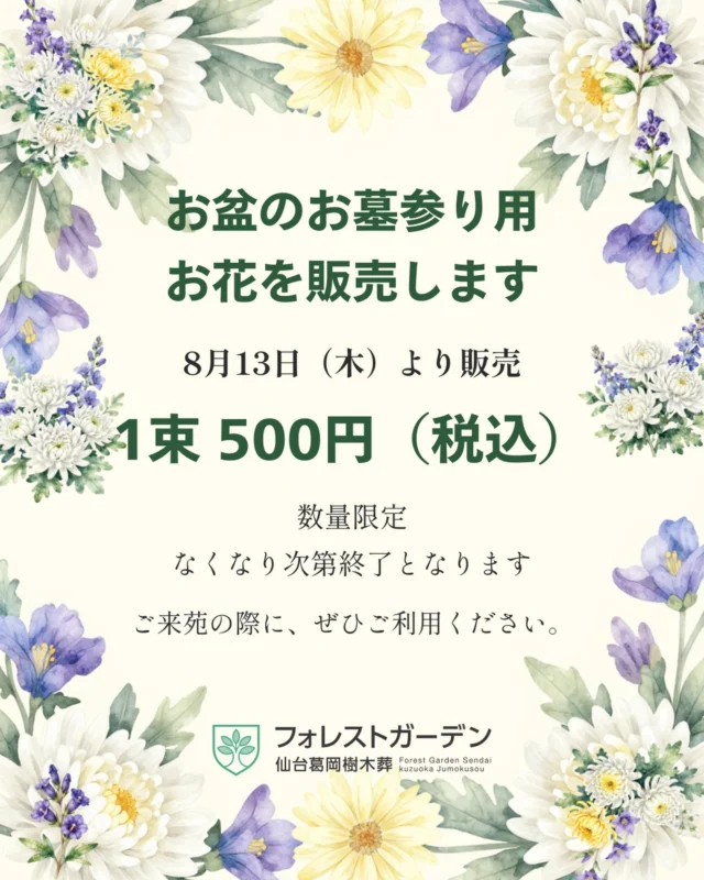 🌼【お盆のお花販売のご案内】🌼  お盆のお墓参りに合わせて、
フォレストガーデン仙台葛岡樹木葬の敷地内にて、お墓参り用のお花を販売いたします。  📅 販売開始
8月13日（木）より  💐 価格
1束 500円（税込）  📍 販売場所
フォレストガーデン仙台葛岡樹木葬 敷地内  数量限定のため、なくなり次第終了となります。
お墓参りの際は、ぜひご利用ください。  #フォレストガーデン
#仙台葛岡樹木葬
#仙台樹木葬
#お盆
#お墓参り