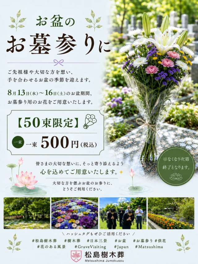 🌿お盆のお墓参りに🌿  ご先祖様や大切な人を想い、
手を合わせる季節を迎えます。  8月13日〜16日のお盆期間、
松島樹木葬ではお墓参り用のお花をご用意いたします。  【50束限定】💐
⚫︎ 1束500円（税込）  皆様の大切な想いに、そっと寄り添えるよう
心を込めてご用意いたします✨  大切な方を偲ぶお盆のお墓参りに、
どうぞご利用ください。  ※ なくなり次第終了となります。  #松島樹木葬 
#花のある風景 
#日本三景 
#お盆 
#お墓参り