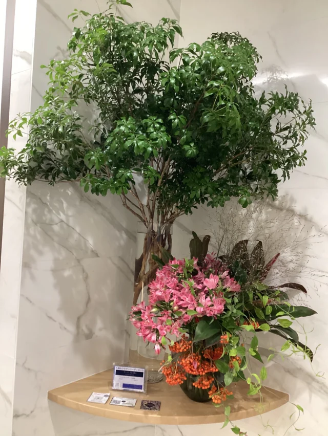 こんにちは。
#室内納骨堂メモワール仙台五橋　です。  今週の#定期装花　テーマは『灯る秋』
〜夏の名残と秋の気配〜
アルストロメリア、アセビ、利休草、ナナカマドを用いて
お洒落で素敵なお花を生けて頂きました。  祭壇のお花はソロモンです。  いつも素敵な装花ありがとうございます。
皆様のご来苑心よりお待ちしております。  【室内納骨堂メモワール仙台五橋】
TEL▶ 022-290-1357
資料請求も承っております。
仙台市青葉区北目町7-11  @memoire_sekizai
＃メモワール石材株式会社