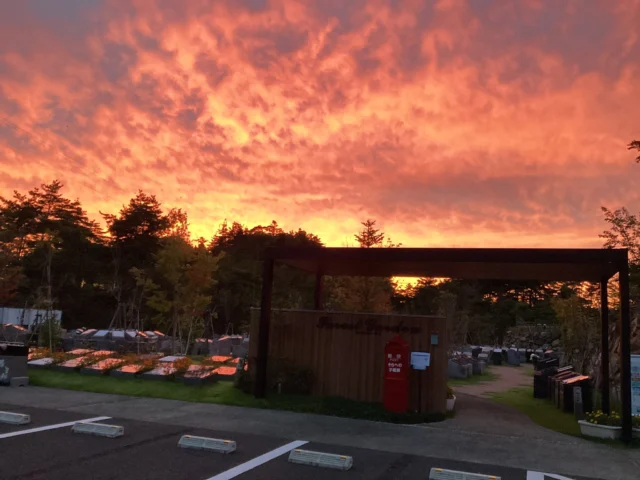 昨日の夕方、ふと空を見たら、
びっくりするくらい真っ赤な夕焼けになっていました。  あまりに綺麗で、思わず何枚も写真を撮ってしまいました。  夕焼けの色が墓石や池の水面にも映っていて、
いつも見ている苑内がまったく違う景色に。  毎日いる場所でも、こんな景色に出会えるとちょっと嬉しくなります。  昨日のフォレストガーデン、夕方の一コマでした🌿  #フォレストガーデン
#仙台葛岡樹木葬
#仙台樹木葬
#夕焼け
#苑内の風景
