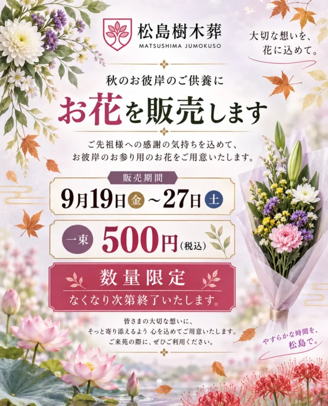 🍀  🪷敬愛一大切な方へ、想いを花に込めて🪷  秋のお彼岸に合わせて、供養のお花を販売いたします。  📅販売期間9月19日（土）〜9月27日（日）
💐一束　500円（税込）
※数量限定・なくなり次第終了いたします。  松島樹木葬へお参りの際に、ぜひご利用ください。  #松島樹木葬 
#樹木葬 
#松島 
#お彼岸 
#お墓参り