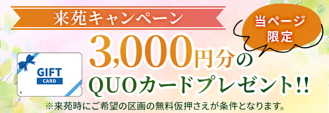 来苑キャンペーン