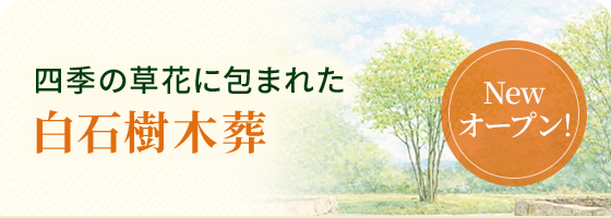 白石樹木葬