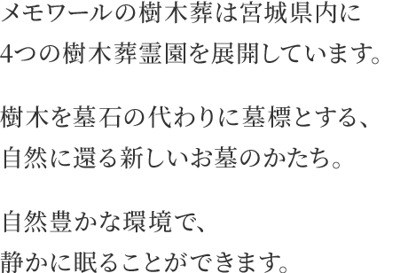 メモワールの樹木葬は宮城県内に4つの樹木葬霊園を展開しています。樹木を墓石の代わりに墓標とする、自然に還る新しいお墓のかたち。自然豊かな環境で、静かに眠ることができます。